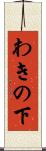 わきの下 Scroll