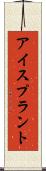 アイスプラント Scroll