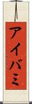 アイバミ Scroll