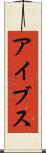 アイブス Scroll