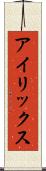 アイリックス Scroll