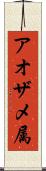 アオザメ属 Scroll
