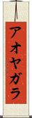アオヤガラ Scroll
