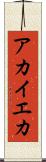 アカイエカ Scroll