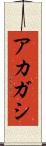 アカガシ Scroll