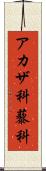 アカザ科 Scroll