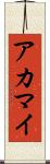 アカマイ Scroll
