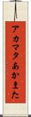 アカマタ Scroll