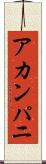 アカンパニ Scroll