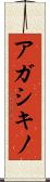 アガシキノ Scroll