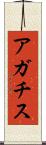 アガチス Scroll