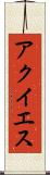 アクイエス Scroll