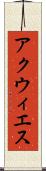 アクウィエス Scroll