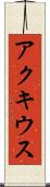アクキウス Scroll