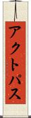 アクトパス Scroll