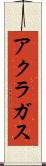 アクラガス Scroll