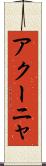 アクーニャ Scroll