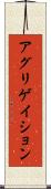アグリゲイション Scroll