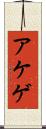 アケゲ Scroll