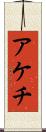 アケチ Scroll