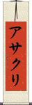 アサクリ Scroll