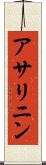 アサリニン Scroll