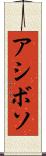 アシボソ Scroll