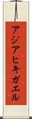 アジアヒキガエル Scroll
