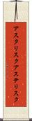 アスタリスク Scroll