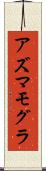 アズマモグラ Scroll