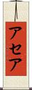 アセア Scroll