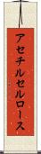 アセチルセルロース Scroll