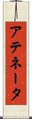 アテネータ Scroll