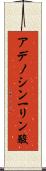 アデノシン一リン酸 Scroll