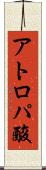 アトロパ酸 Scroll