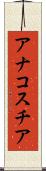 アナコスチア Scroll