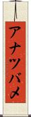 アナツバメ Scroll