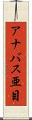 アナバス亜目 Scroll