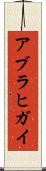 アブラヒガイ Scroll