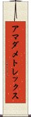 アマダメトレックス Scroll