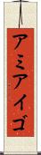 アミアイゴ Scroll