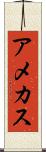 アメカス Scroll