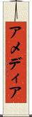 アメディア Scroll