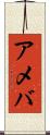 アメバ Scroll