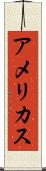 アメリカス Scroll