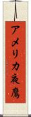 アメリカ夜鷹 Scroll