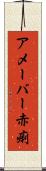 アメーバー赤痢 Scroll