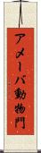 アメーバ動物門 Scroll