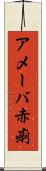 アメーバ赤痢 Scroll