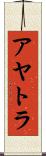 アヤトラ Scroll
